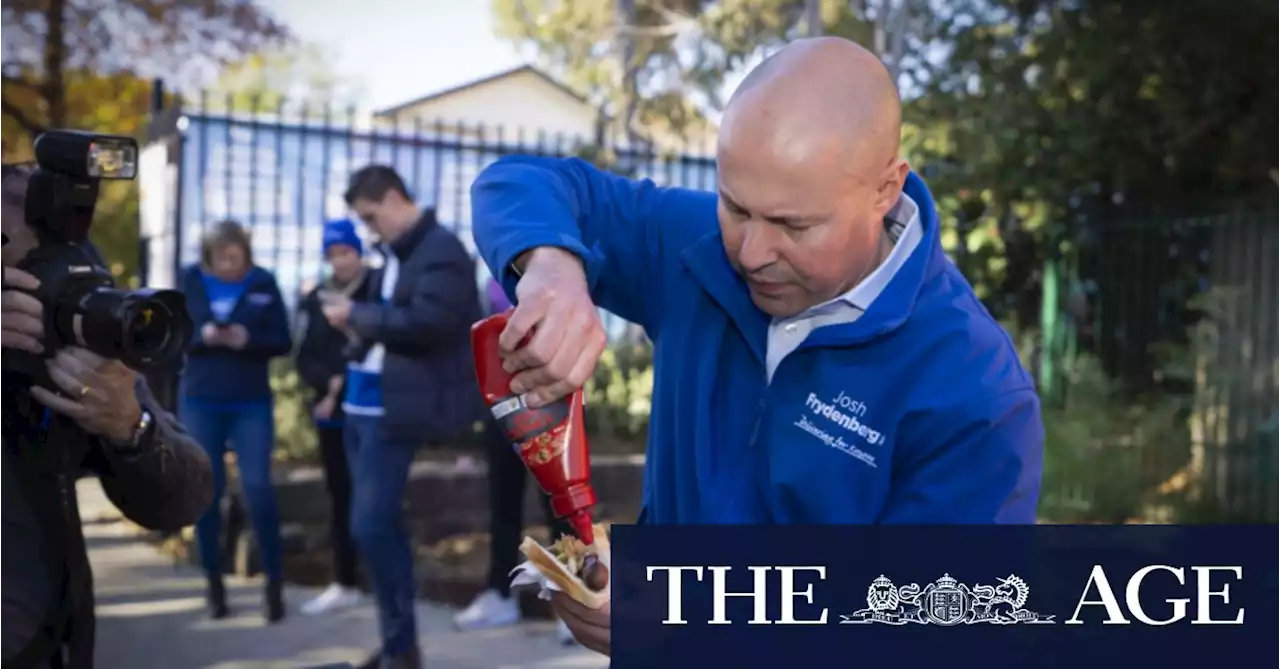 In Kooyong and Goldstein, a last-ditch effort to save former Liberal strongholds from going teal