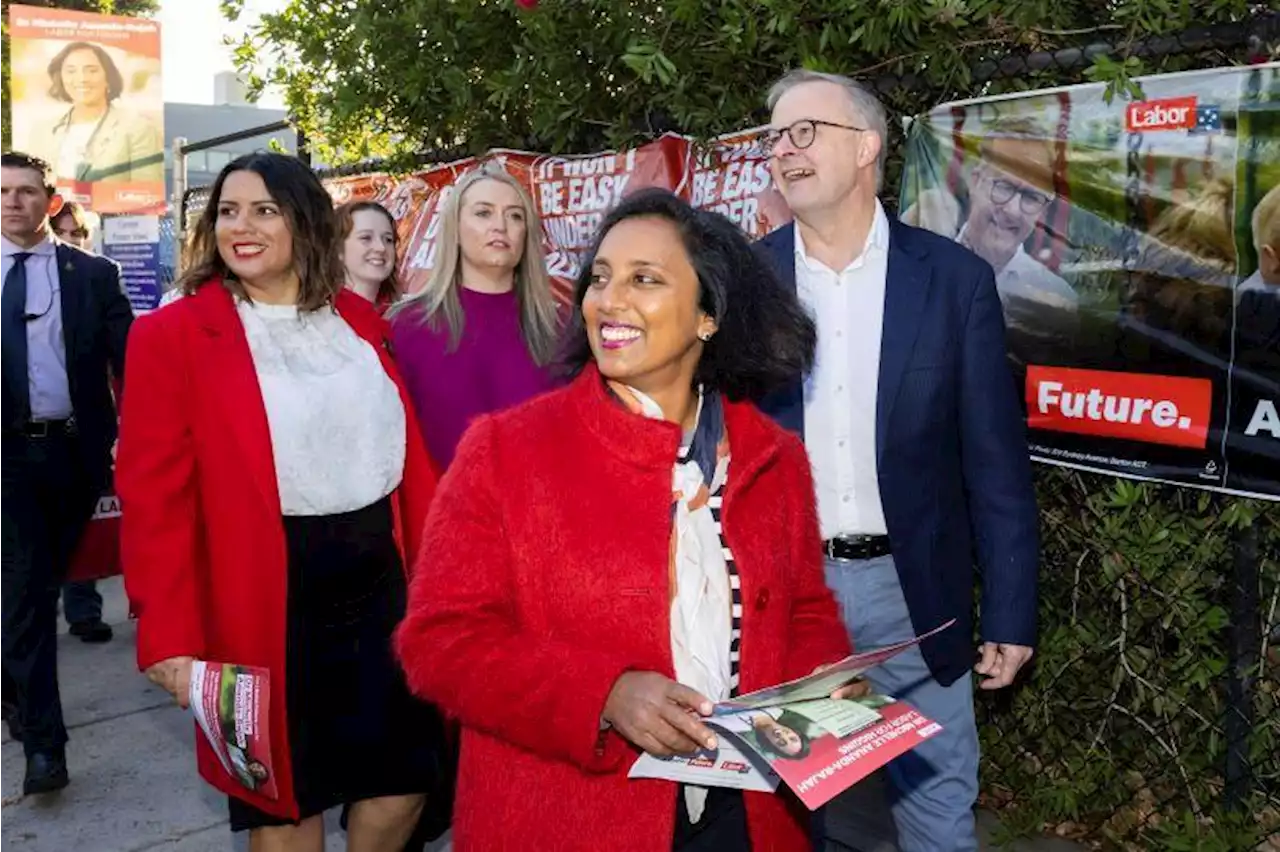 Election 2022 results LIVE: Allegra Spender wins Wentworth, Peter Dutton in trouble in Dickson as race between Scott Morrison, Anthony Albanese set to go down to the wire