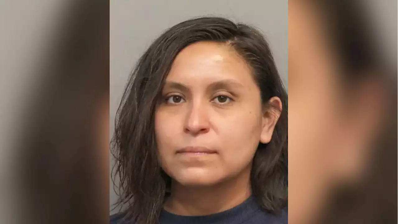 Cop Mom Arrested for ‘Using Taser on Her Kids’