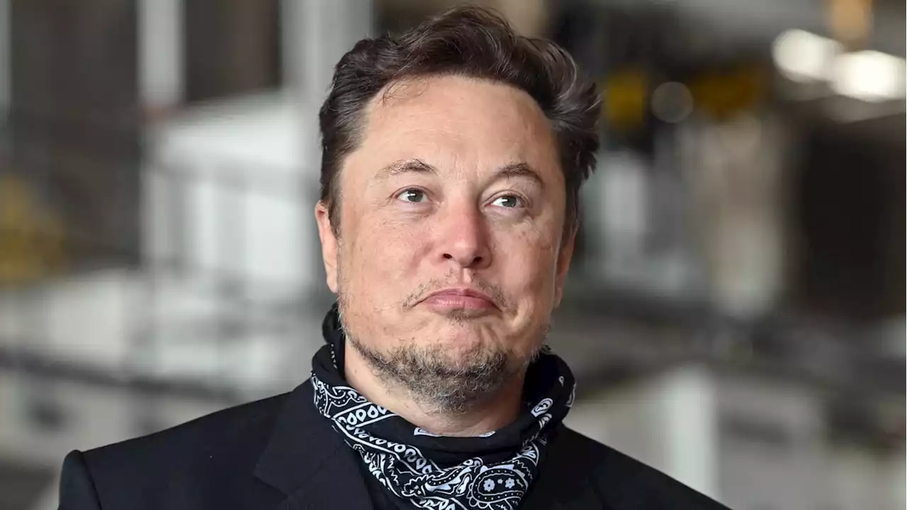 Musk Goads Accuser to Describe Something on His Naked Body