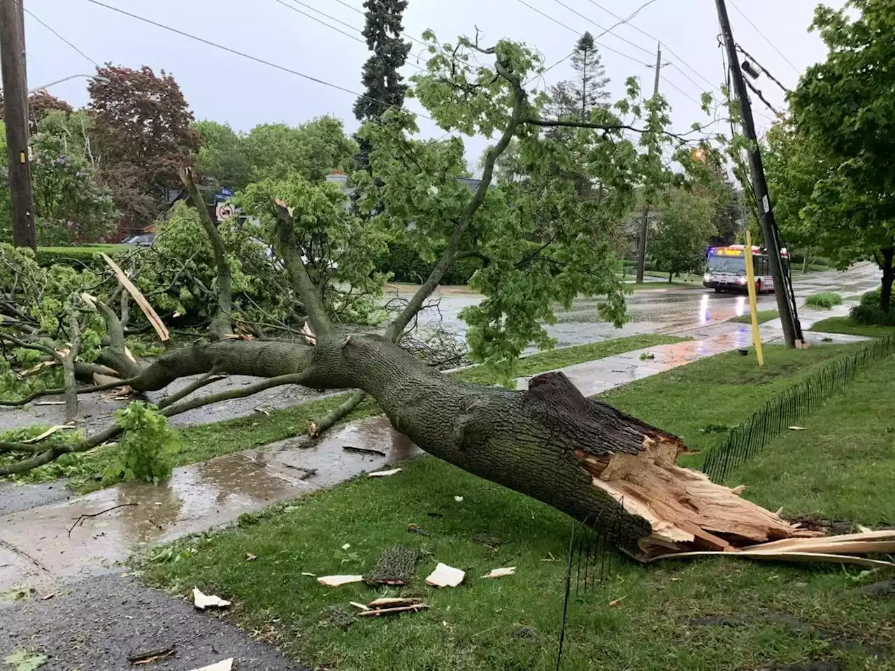 ‘This is unbelievable’: Intense thunderstorm rolls through Toronto