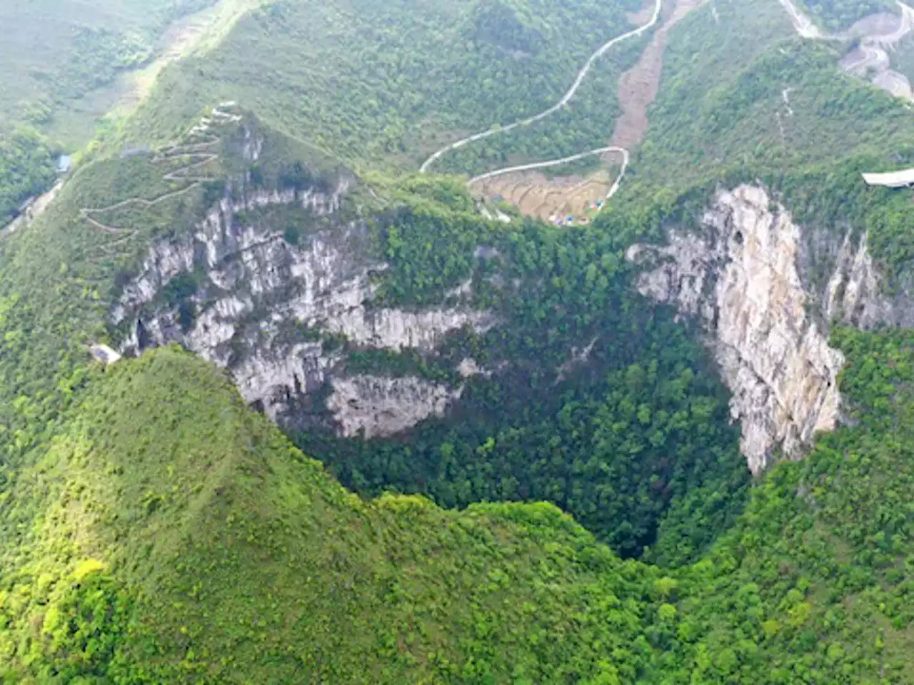Ancient forest discovered in China — in the bottom of a sinkhole