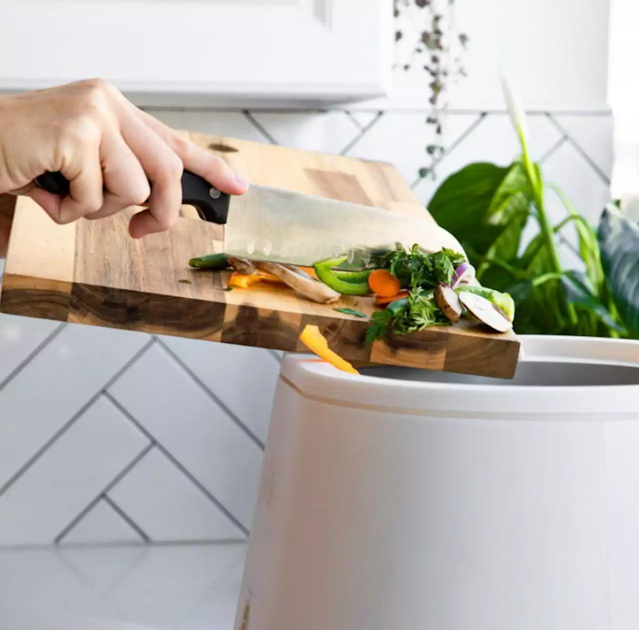 Made-in-Canada kitchen appliance transforms and reduces food waste into compost