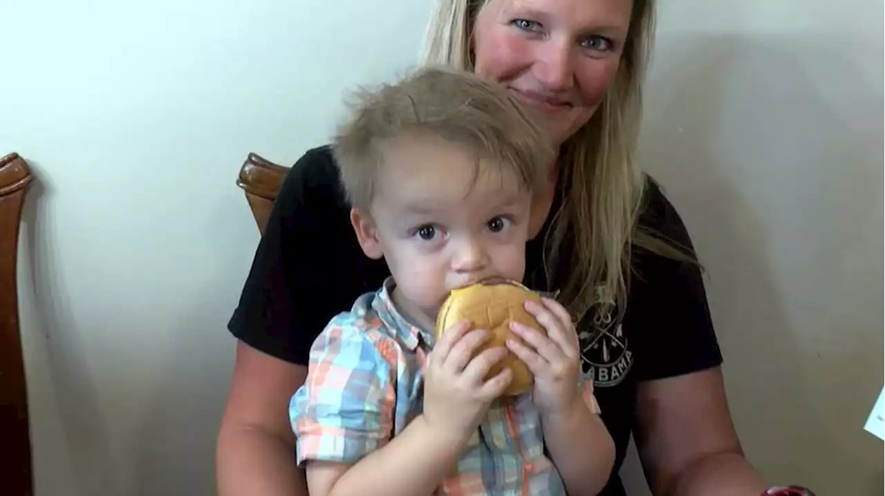 Toddler orders 31 cheeseburgers using mom’s phone