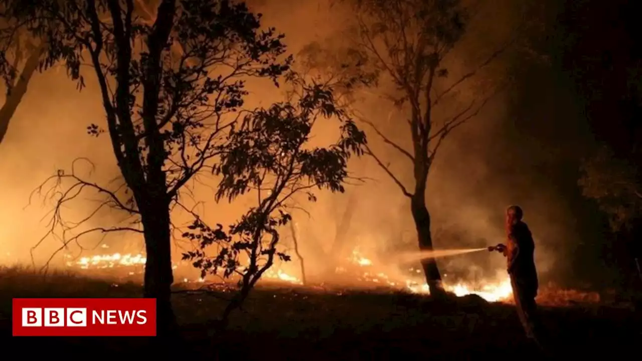 Australia election: Anthony Albanese signals climate policy change