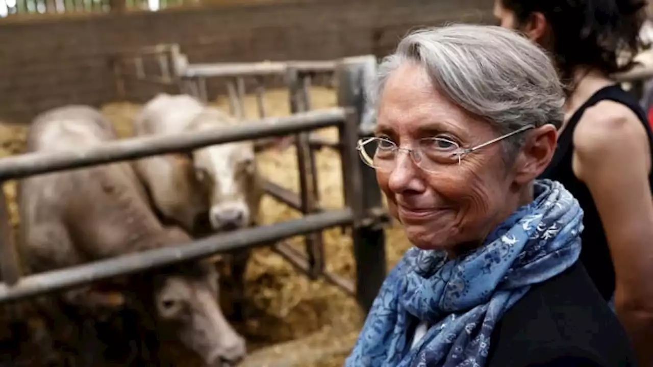 'Je ne mentirai pas aux Français' assure Elisabeth Borne dans les colonnes du JDD