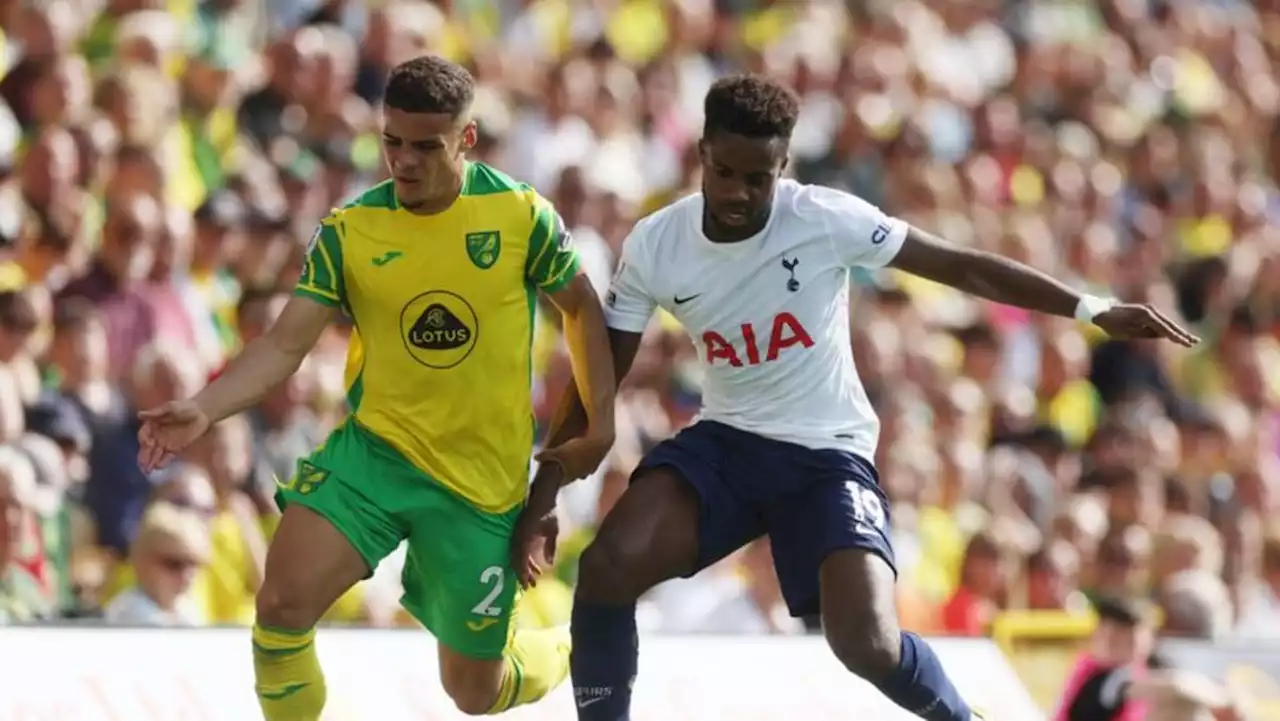 Tottenham seal Champions League spot with 5-0 win at Norwich