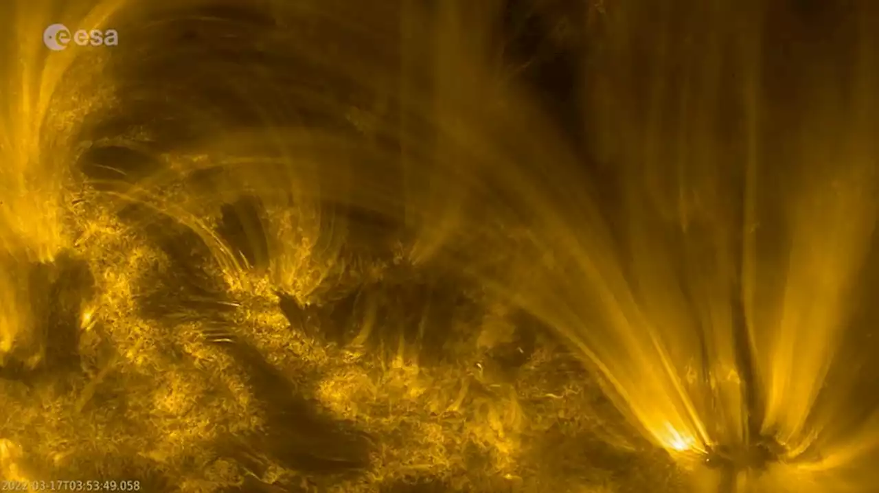 Observing activity on the sun to help predict space weather | Digital Trends