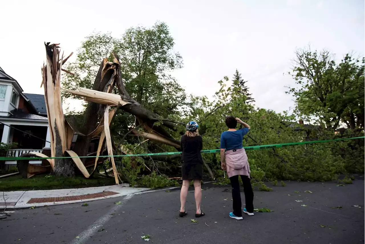 In photos: Extreme thunderstorm sweeps across southern Ontario, Quebec