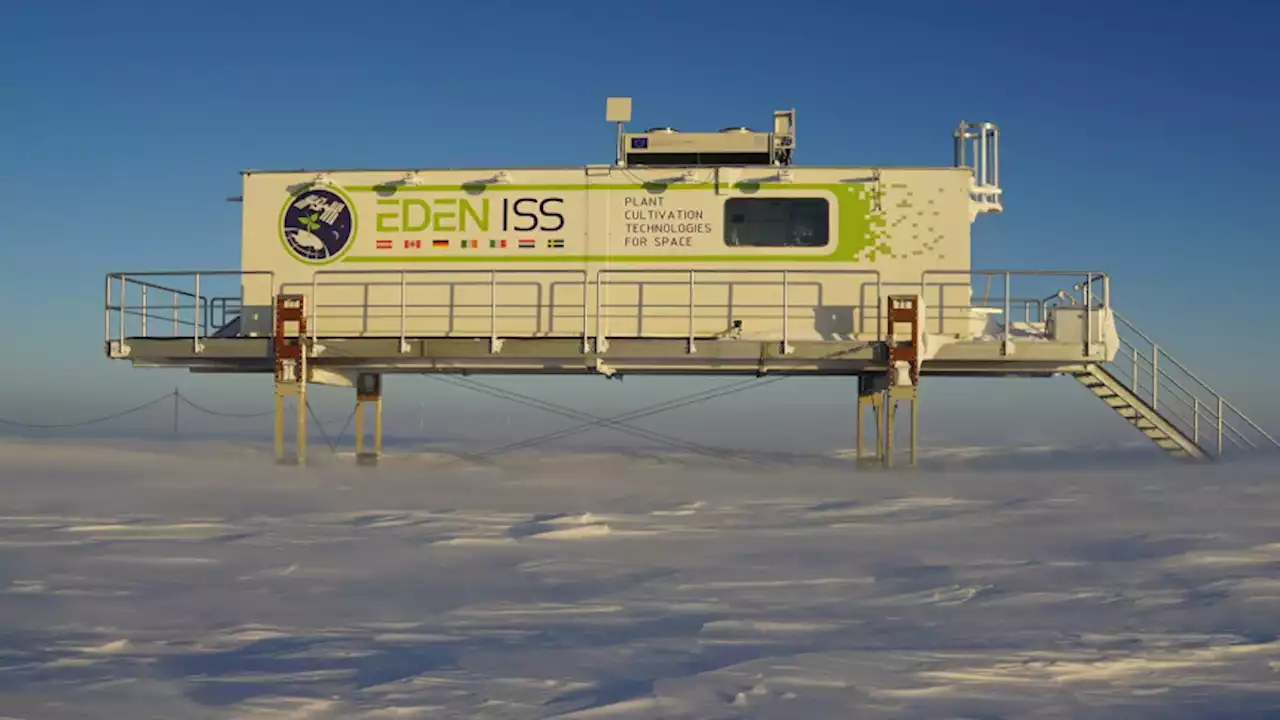 Here's how agricultural research in Antarctica helps scientists grow food in space