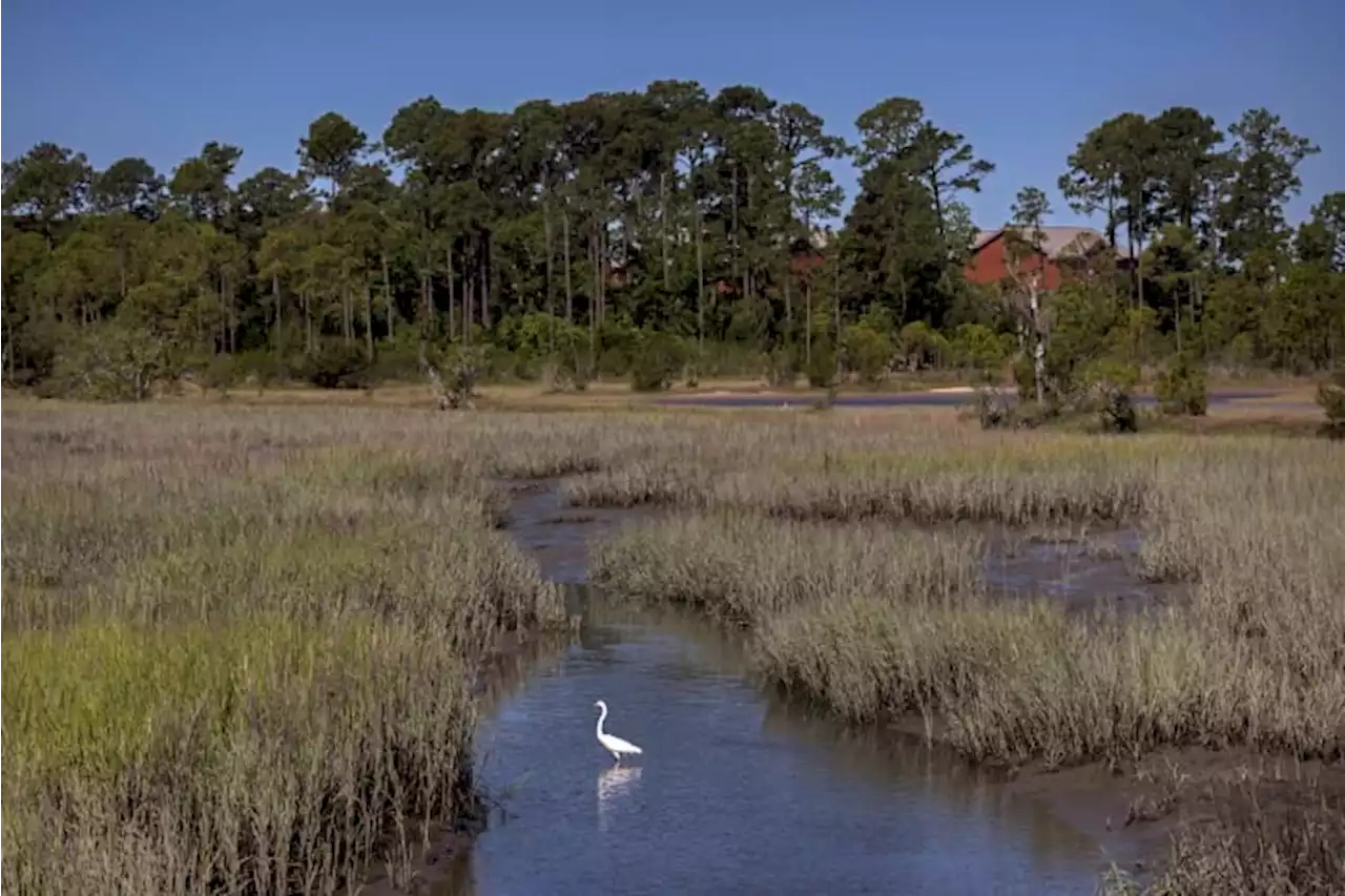 Parris Island wages battles, not war, against climate change