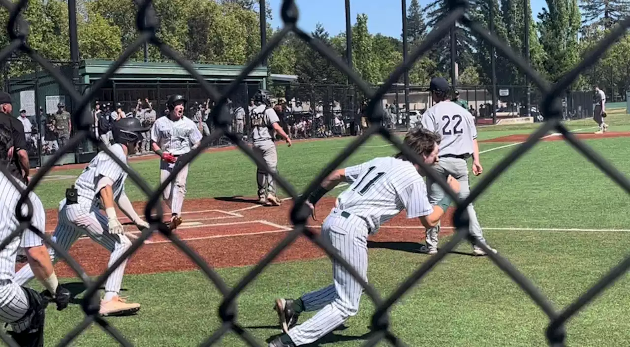 CCS baseball playoffs: Palo Alto survives on a walk-off after Carlmont erases seven-run deficit