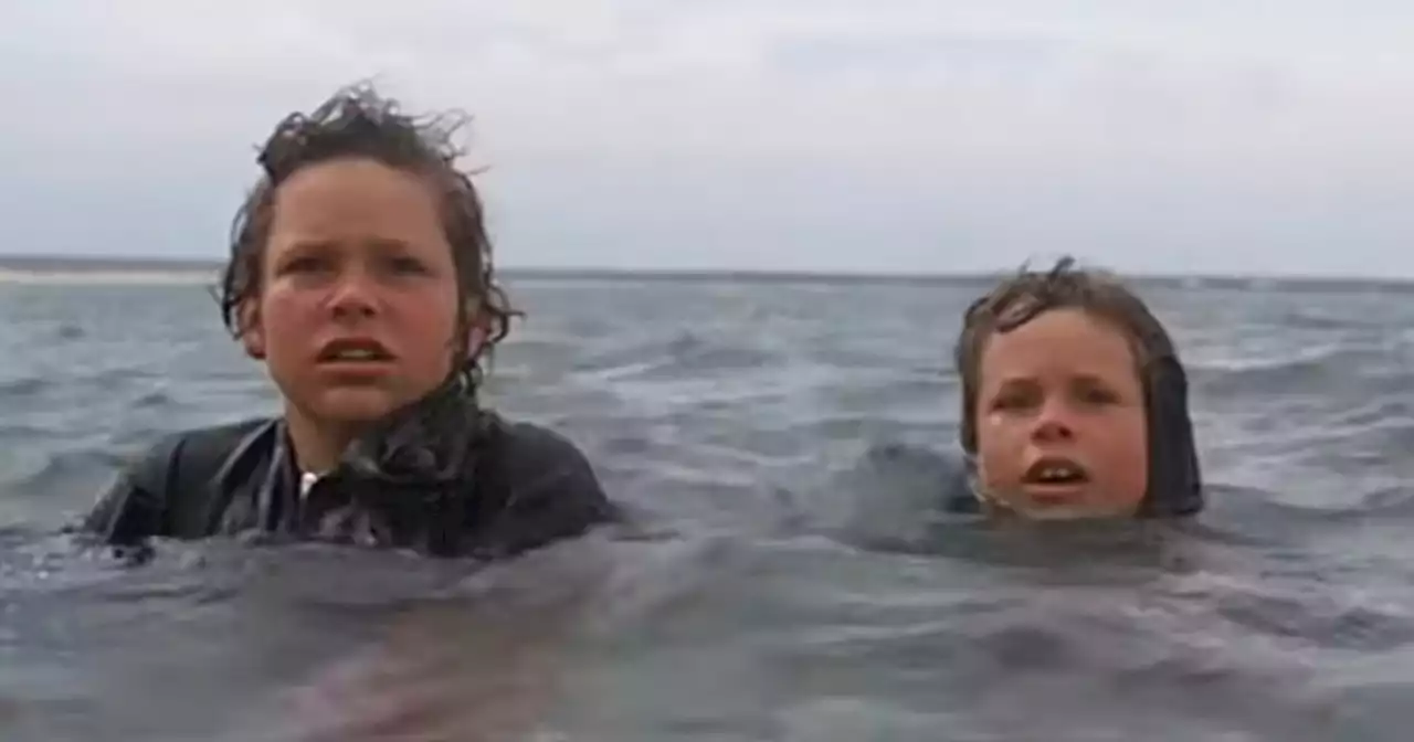 Jaws actor becomes police chief of same town the famous shark movie was filmed