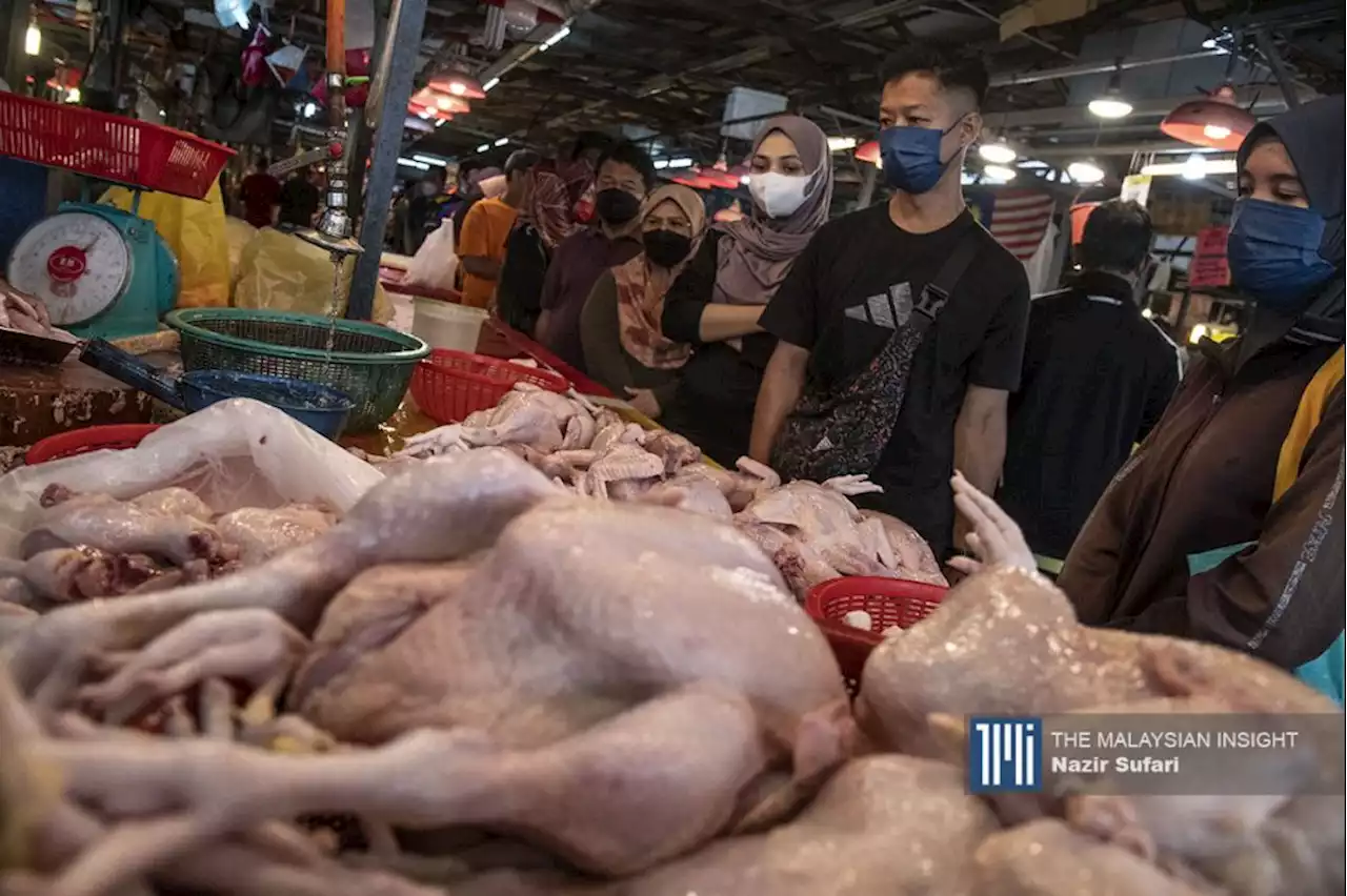 Permintaan tinggi, harga makanan naik punca ayam kurang di Selangor, kata exco | The Malaysian Insight