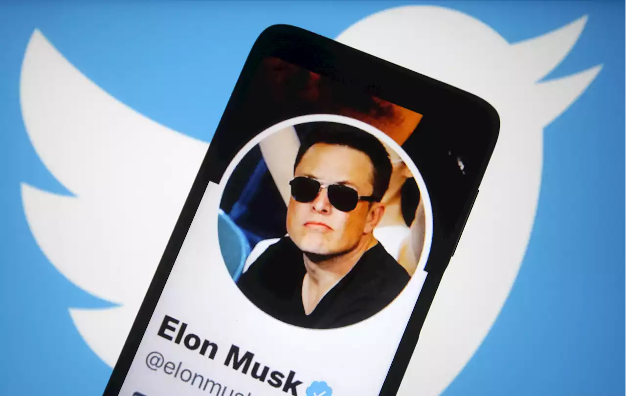 How Elon Musk's Twitter Takeover Plans Shook Wall Street and Social Media