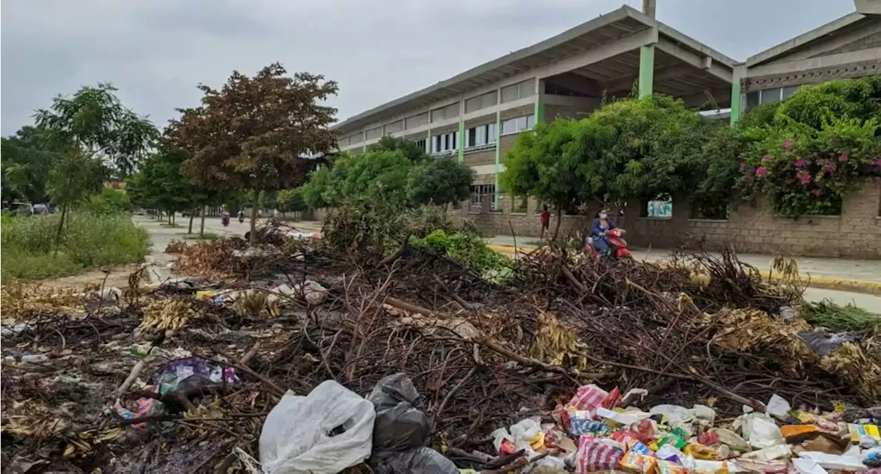 Estudiantes tienen que soportar olor de animales muertos y basura en medio de clases - Pulzo