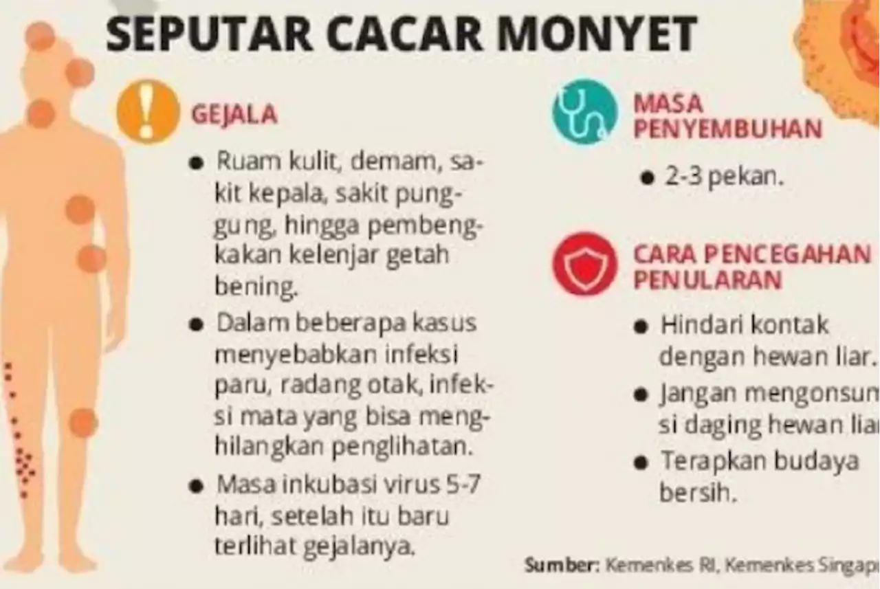 WHO Prediksi akan Lebih Banyak Kasus Cacar Monyet Ditemukan |Republika Online