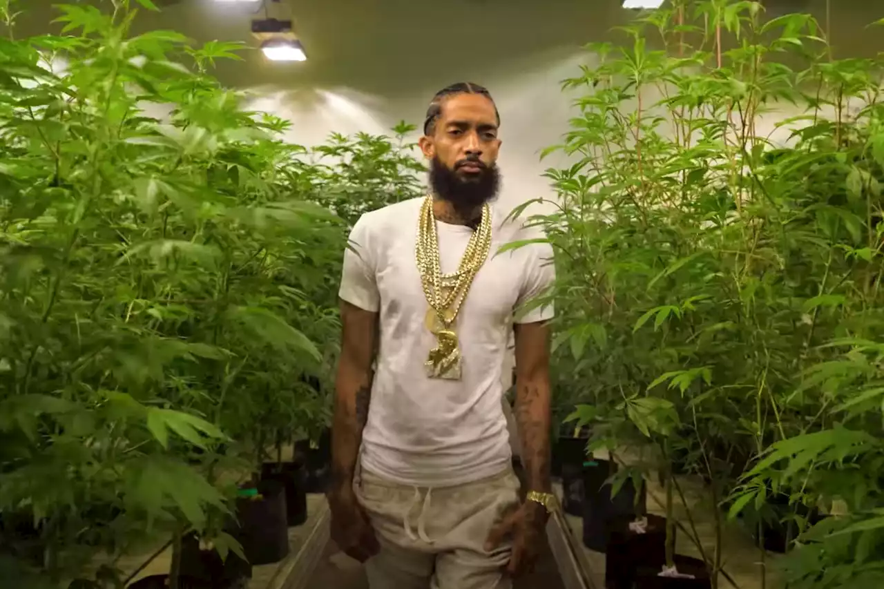 'The Marathon (Cultivation)': Nipsey Hussle Creates Cannabis Strain in New Doc