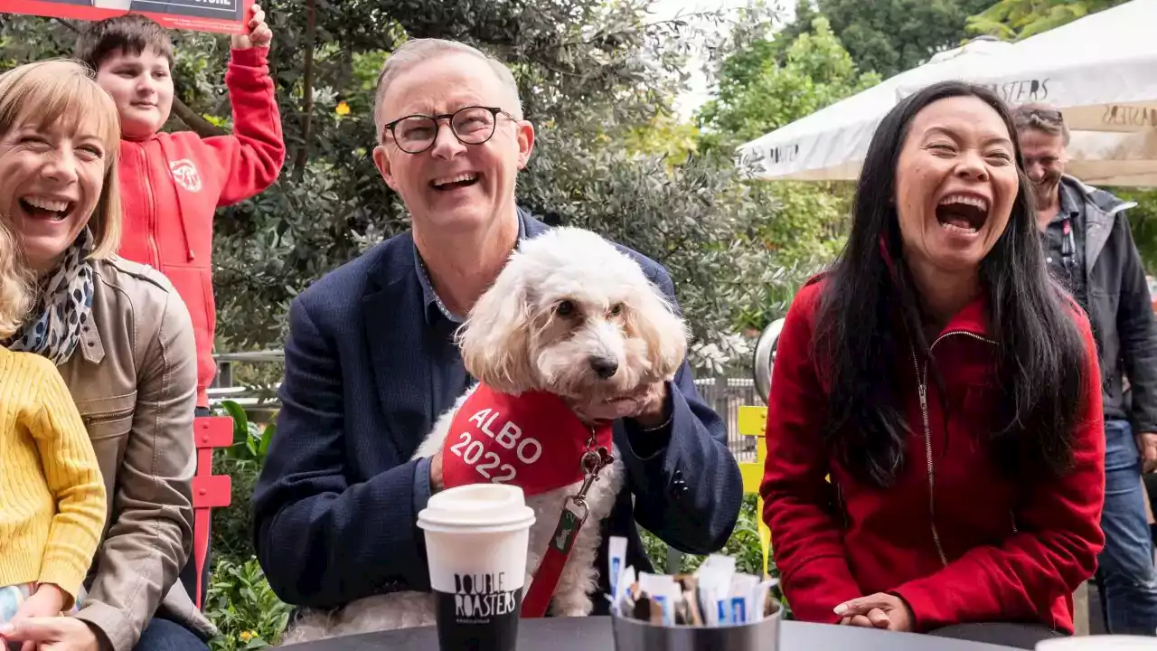 From climate to migration and healthcare: This is how Australia will change under a Labor government