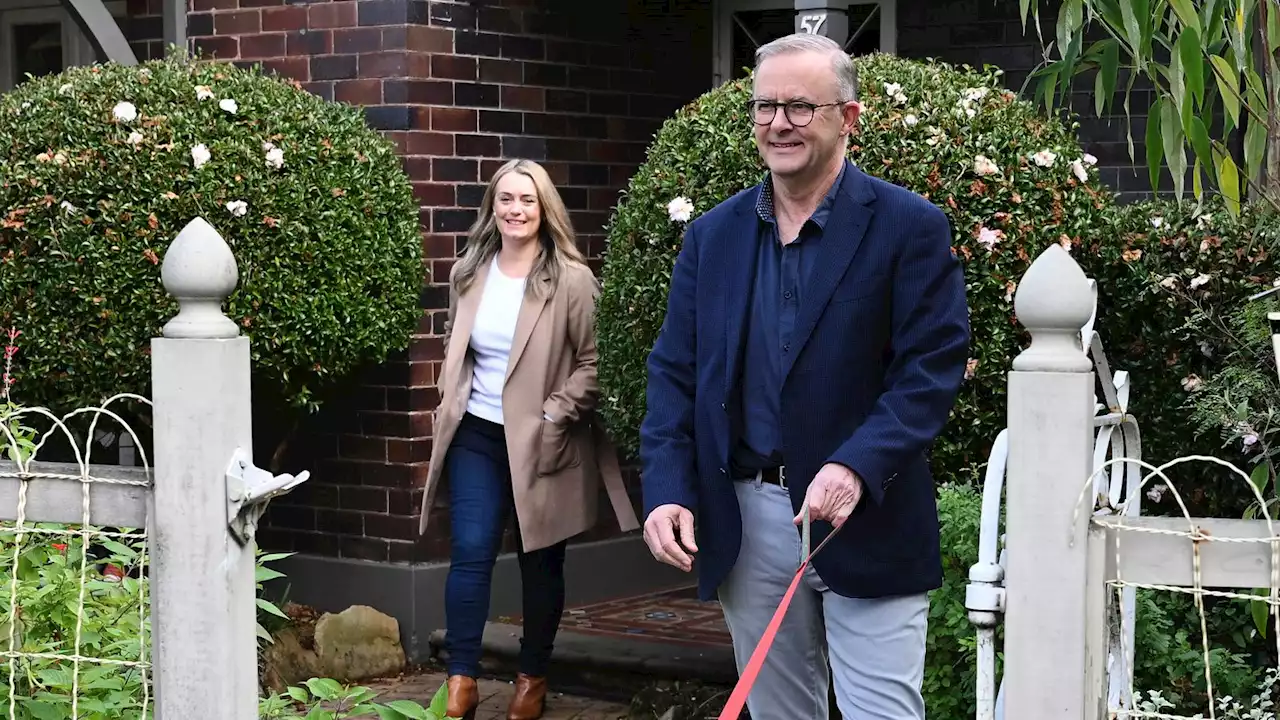 Australia elections: New leader Anthony Albanese may have to be sworn in as acting PM amid poll uncertainty