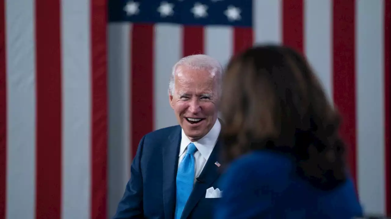 Joe Biden ‘dazed and confused’ but Kamala Harris ‘ready and capable’