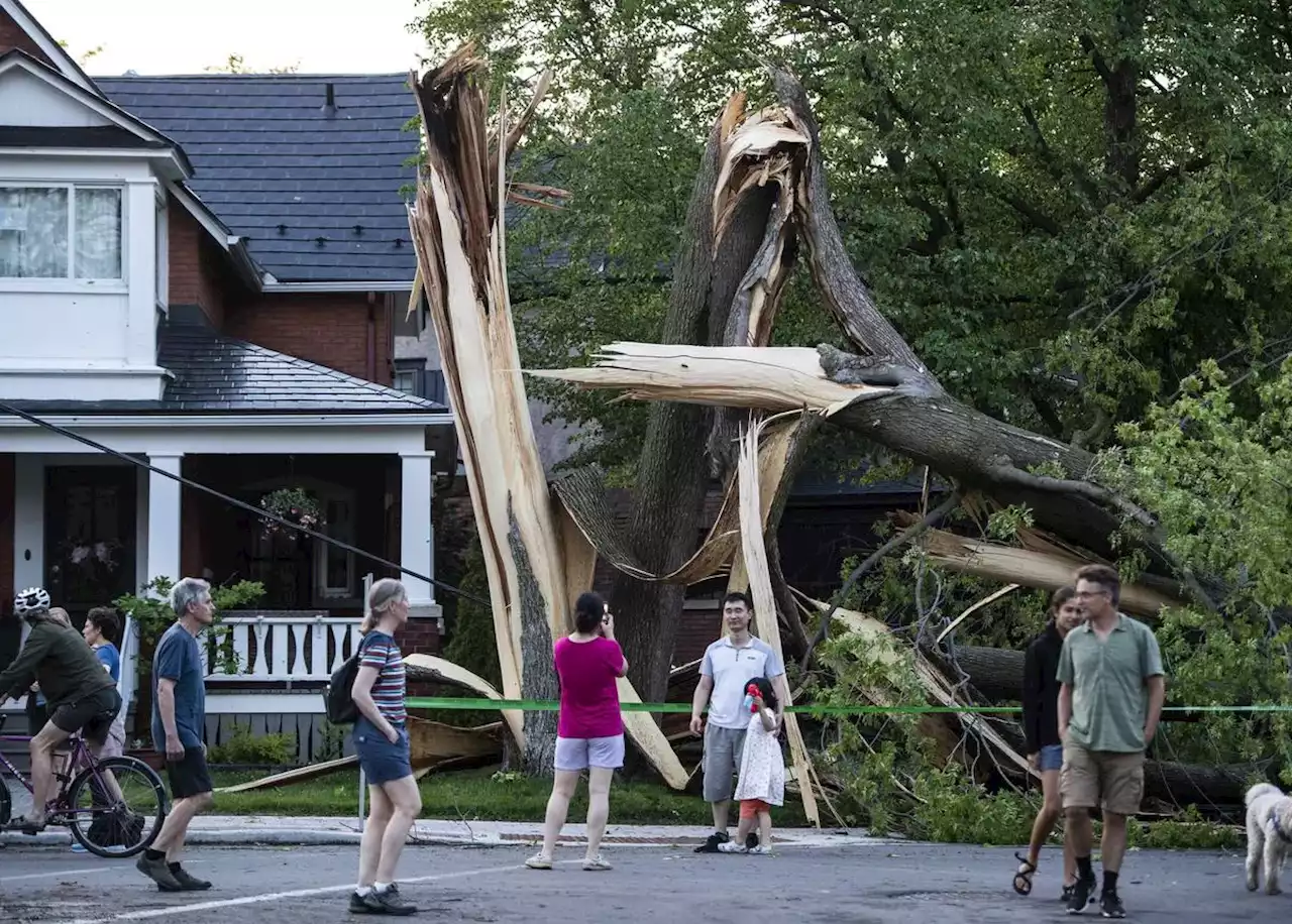 At least seven dead after severe thunderstorm tears through Ontario