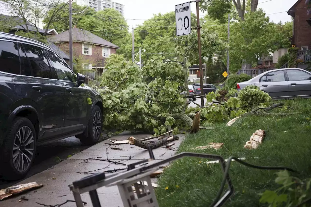 ‘This is unbelievable’: Intense thunderstorm rolls through Ontario, four people dead