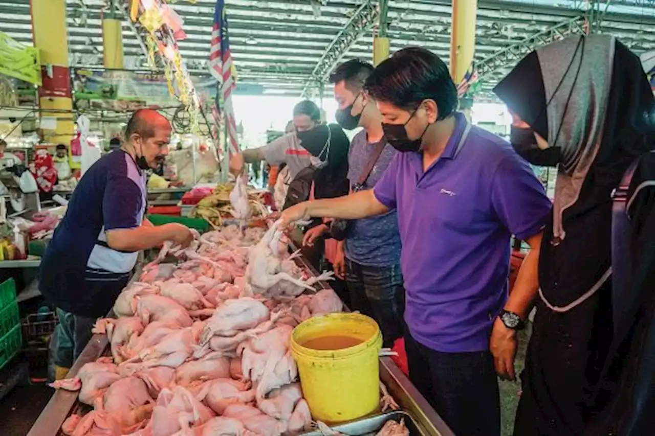 Ayam habis dijual dalam masa 2 jam