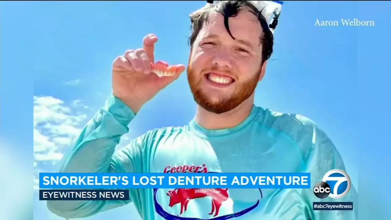 Snorkeler finds $2,000 dentures in Gulf - reunites with owner