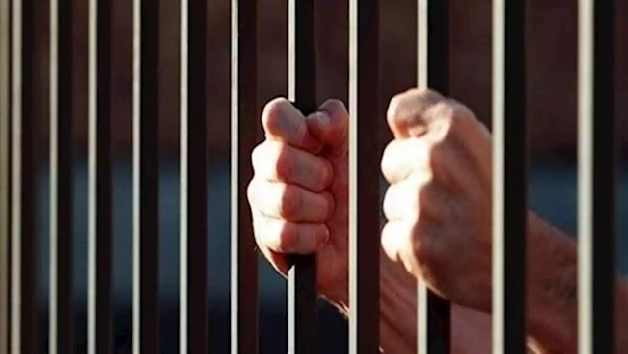 محاكمة مستريح البيتكوين في الاستيلاء على أموال المواطنين