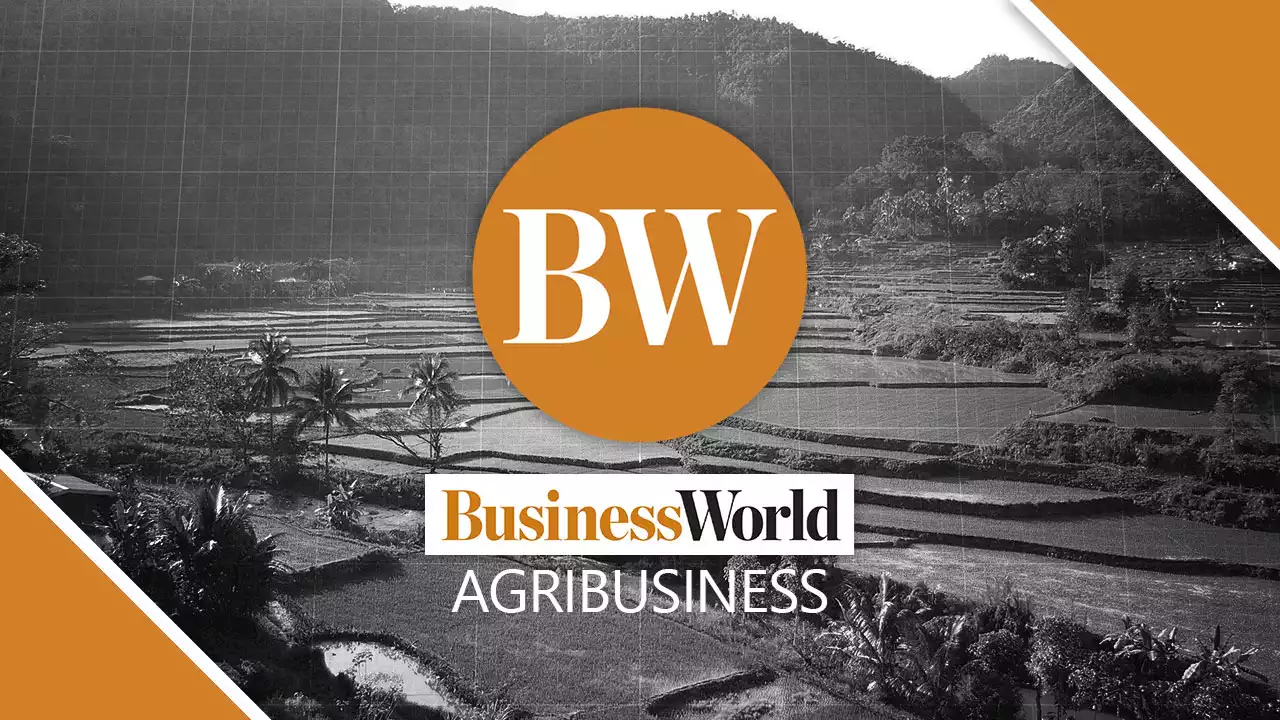 World Bank to offer $30B as Ukraine war threatens food security - BusinessWorld Online