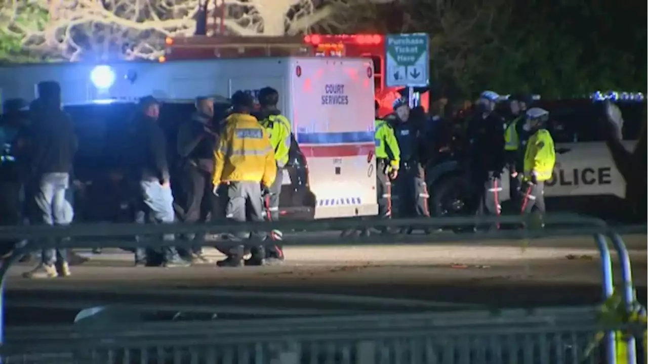 2 men shot, 1 stabbed, 7 officers injured in violent night at Woodbine Beach Park | CBC News