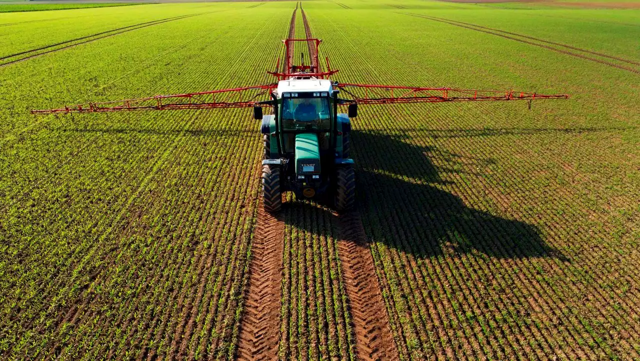 Landwirtschaft: WWF kritisiert EU als teuren Supermarkt