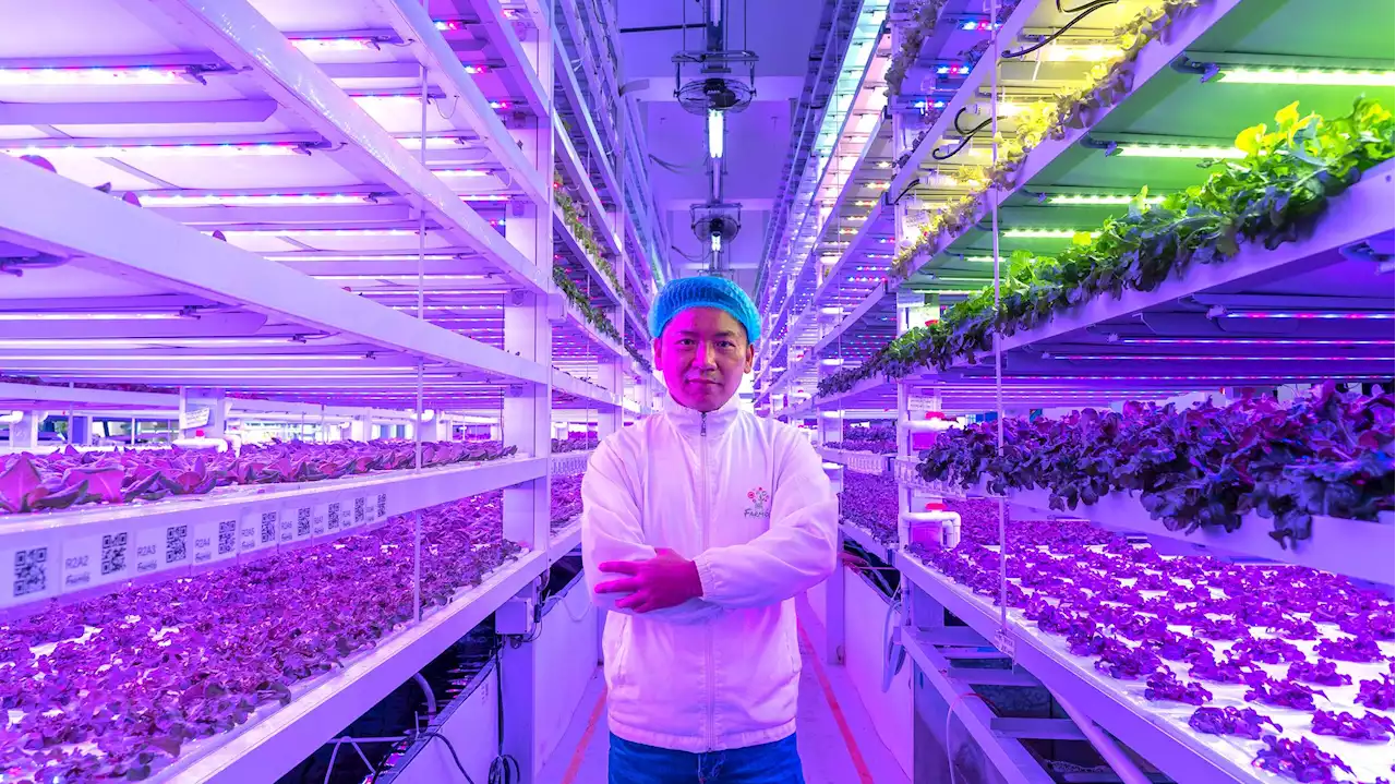 Meet The High-Tech Urban Farmer Growing Vegetables Inside Hong Kong’s Skyscrapers