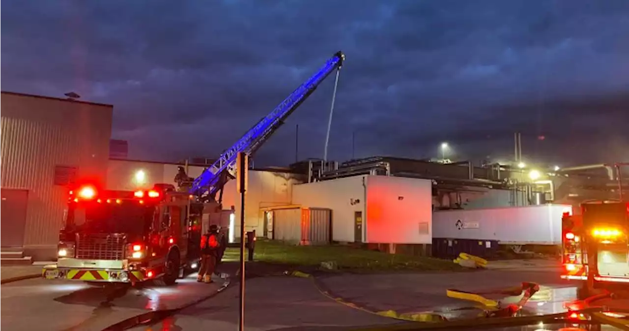 Significant damage after fire at London, Ont. chicken-processing plant - London | Globalnews.ca