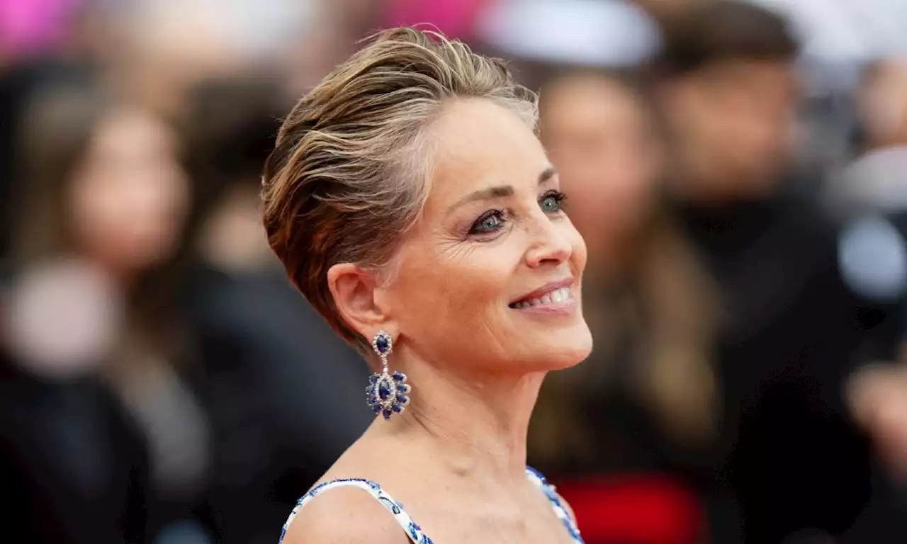 Sharon Stone steals the show at Cannes in patterned gown with surprise reveal