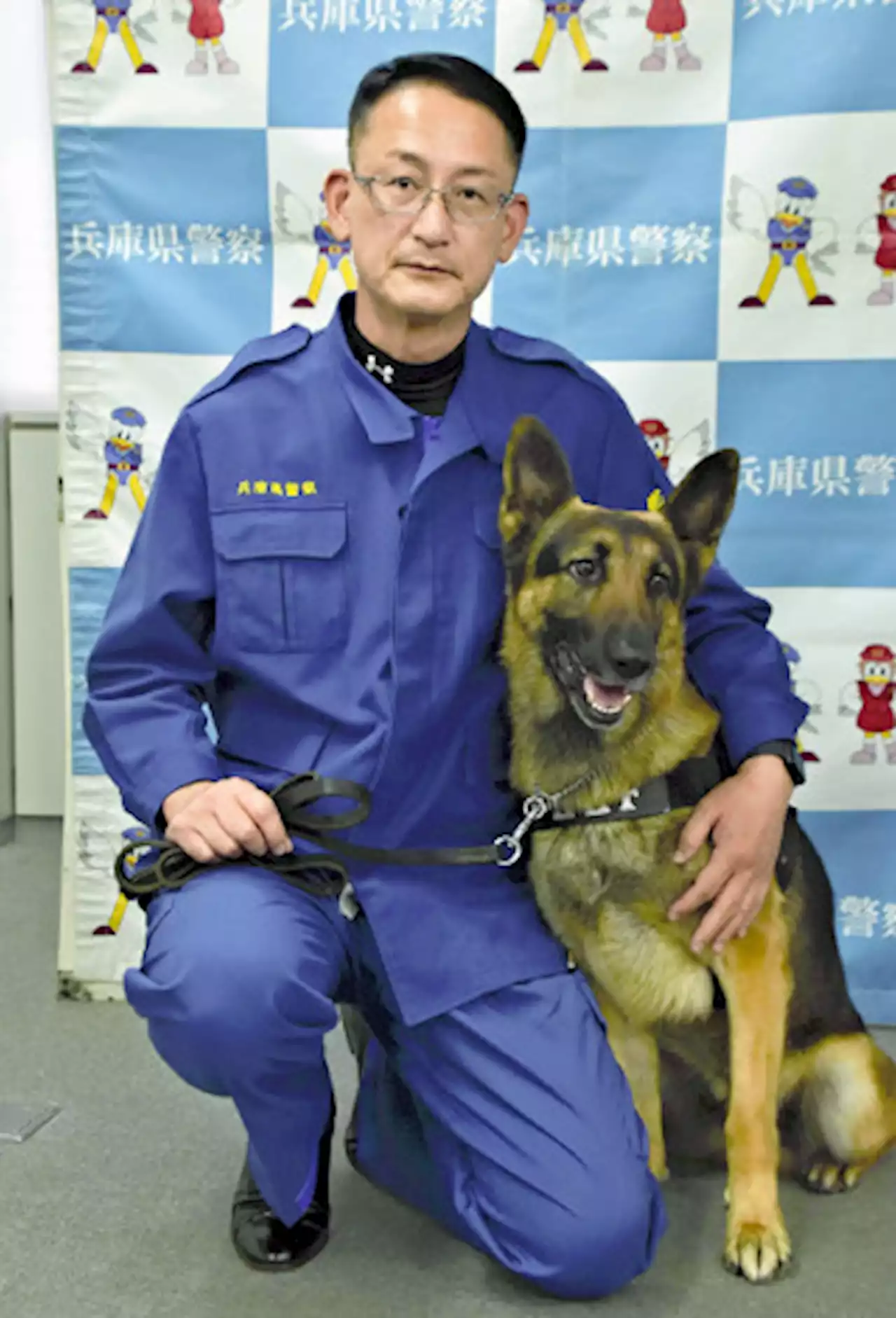 警察犬と昼寝「県警のムツゴロウ」、全国で指導へ…「飼育員になりたかった」 - トピックス｜Infoseekニュース