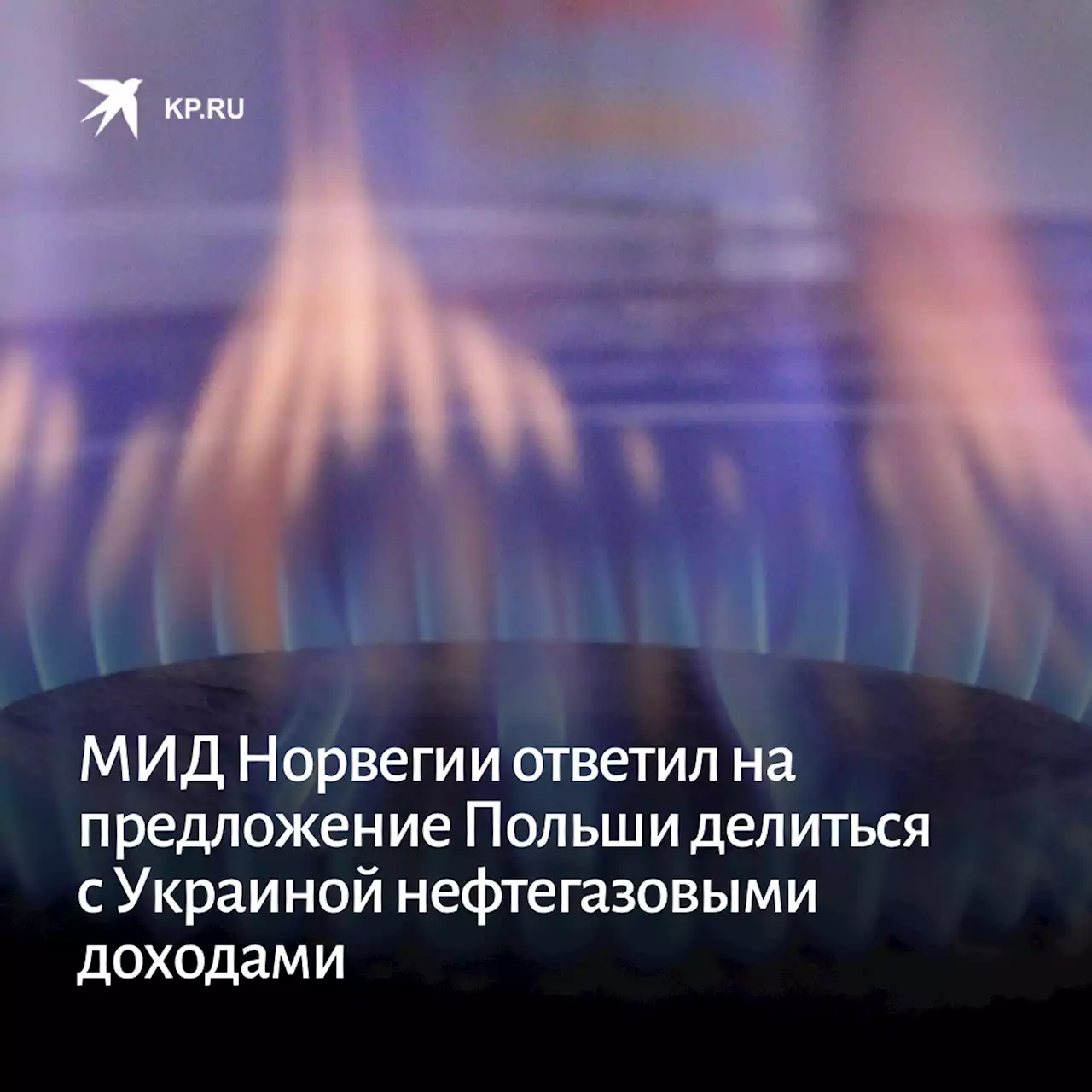 МИД Норвегии ответил на предложение Польши делиться с Украиной нефтегазовыми доходами