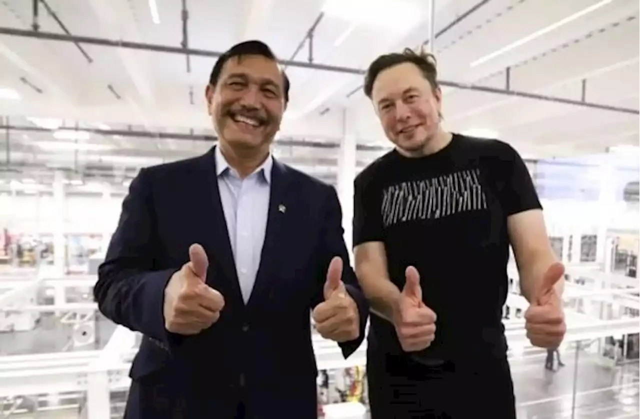 Luhut: Investasi Tesla Bernilai Jumbo, Negosiasi Harus Sabar