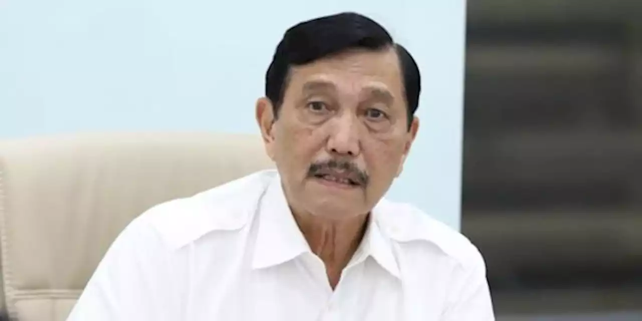 Luhut Sebut Investasi Tesla ke RI Masih Butuh Waktu dan Proses | merdeka.com