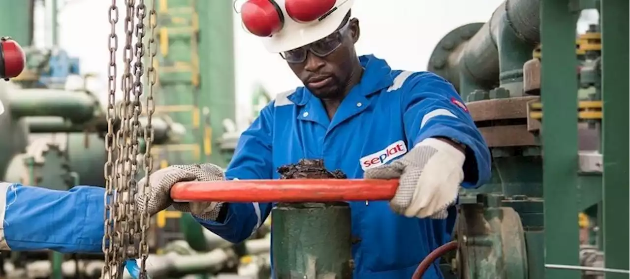 Seplat Energy approves $0.10 dividend - Punch Newspapers