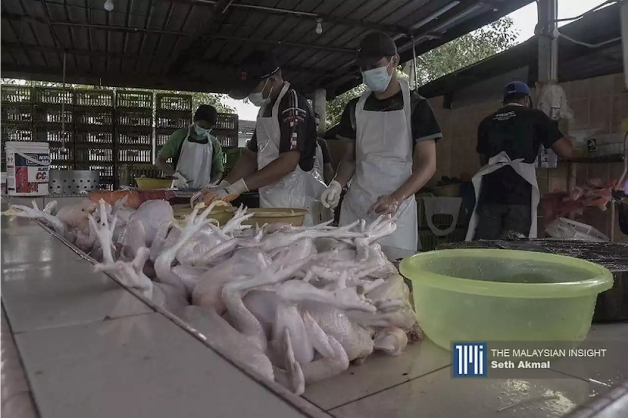 Hentikan percaturan dan permainan harga ayam, kata Mafi | The Malaysian Insight