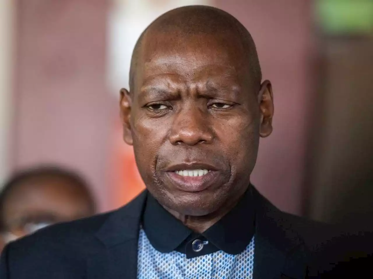 Mkhize warned against 'anti-ANC tendencies' for expressing willingness to contest presidency before nominations open | News24