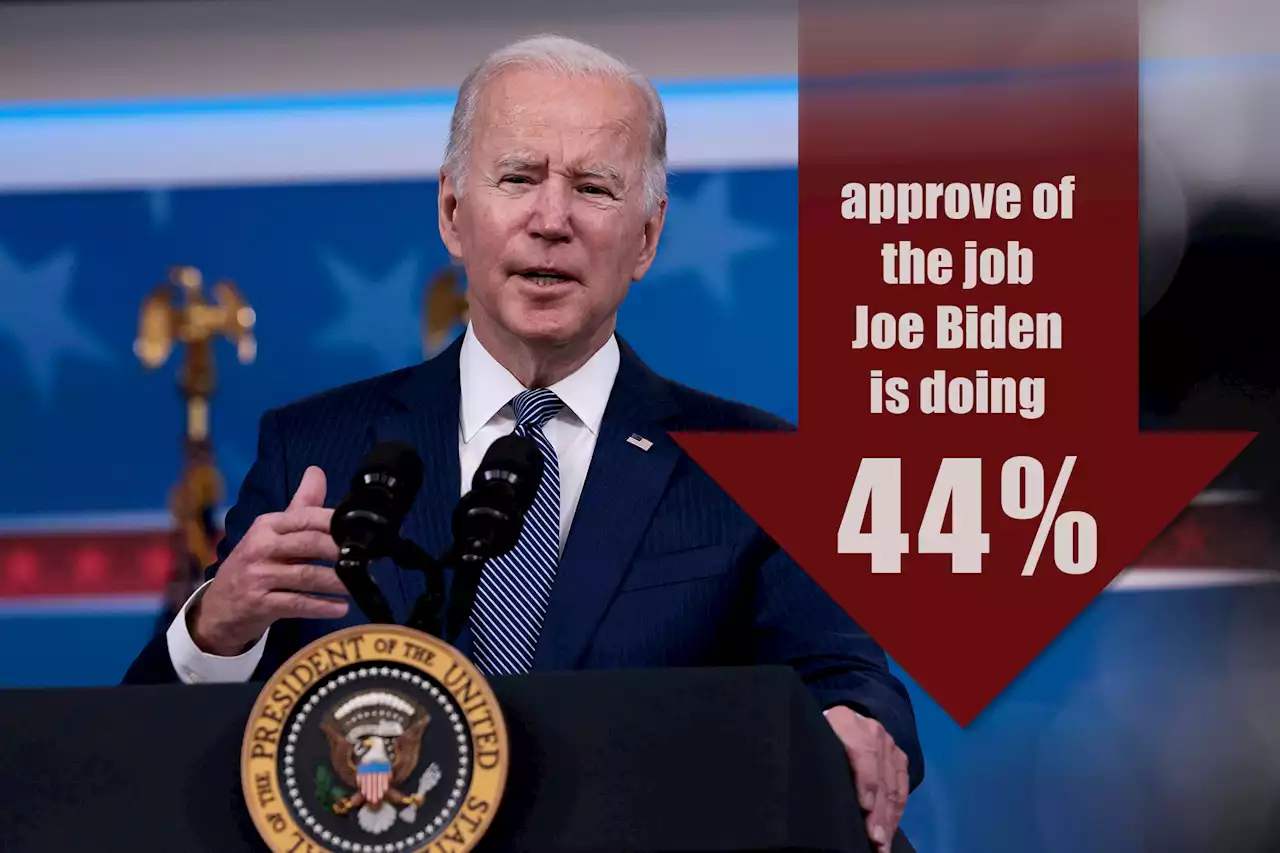 Most Americans say things going badly under ‘distracted’ and ‘incompetent’ Biden: poll