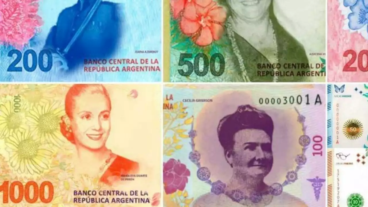 Eva Perón, San Martín, Belgrano, Azucena Villaflor y Alfonsina Storni entre otras ¿quiénes estarían en los nuevos billetes argentinos?