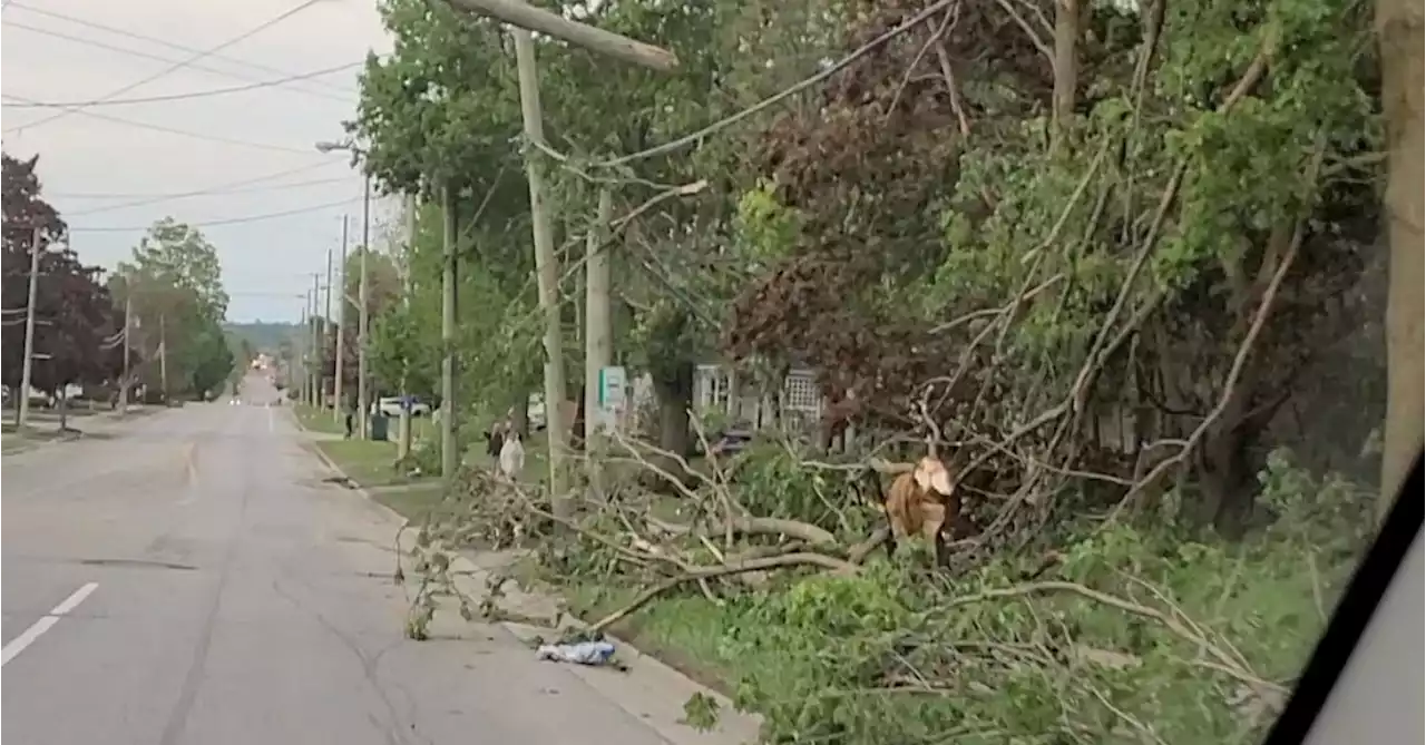 Storms kill at least 8 in Canada, leave half a million without power