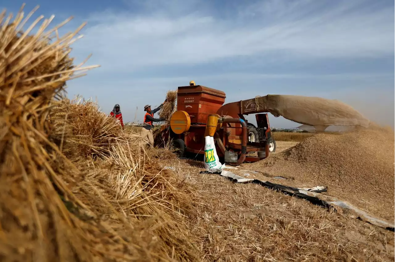 AP lifted for wheat imports, says Ismail Sabri