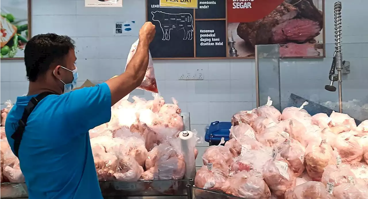 Freezing chicken exports among measures taken to address supply, price issues, says PM