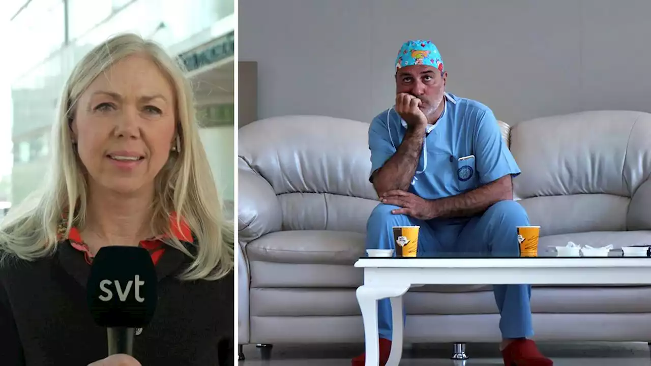 Åklagarsidan yrkar på minst fem års fängelse i Macchiarinifallet