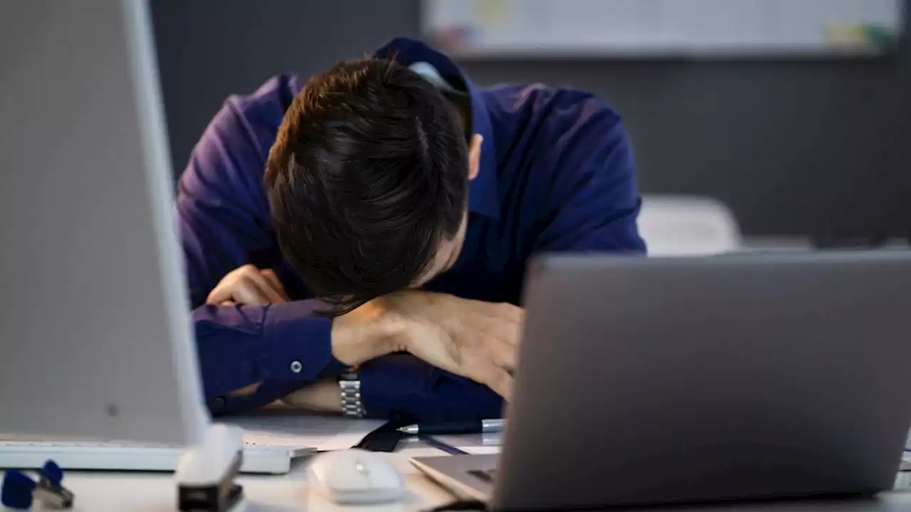 Powernap bei der Arbeit: Wenn der Chef ein Schläfchen befiehlt